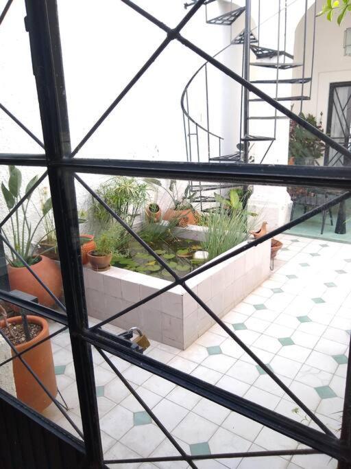 Casa Cuauhtemoc Villa กัวดาลาฮารา ภายนอก รูปภาพ