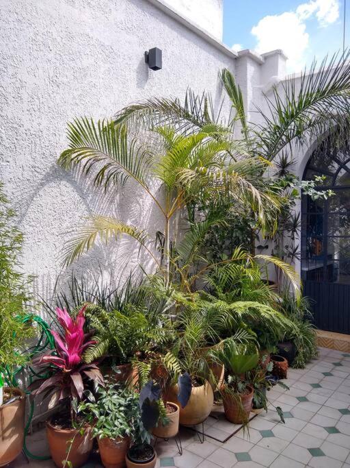 Casa Cuauhtemoc Villa กัวดาลาฮารา ภายนอก รูปภาพ
