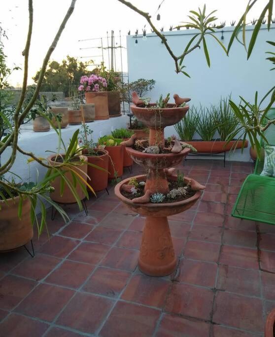 Casa Cuauhtemoc Villa กัวดาลาฮารา ภายนอก รูปภาพ